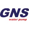 GNS