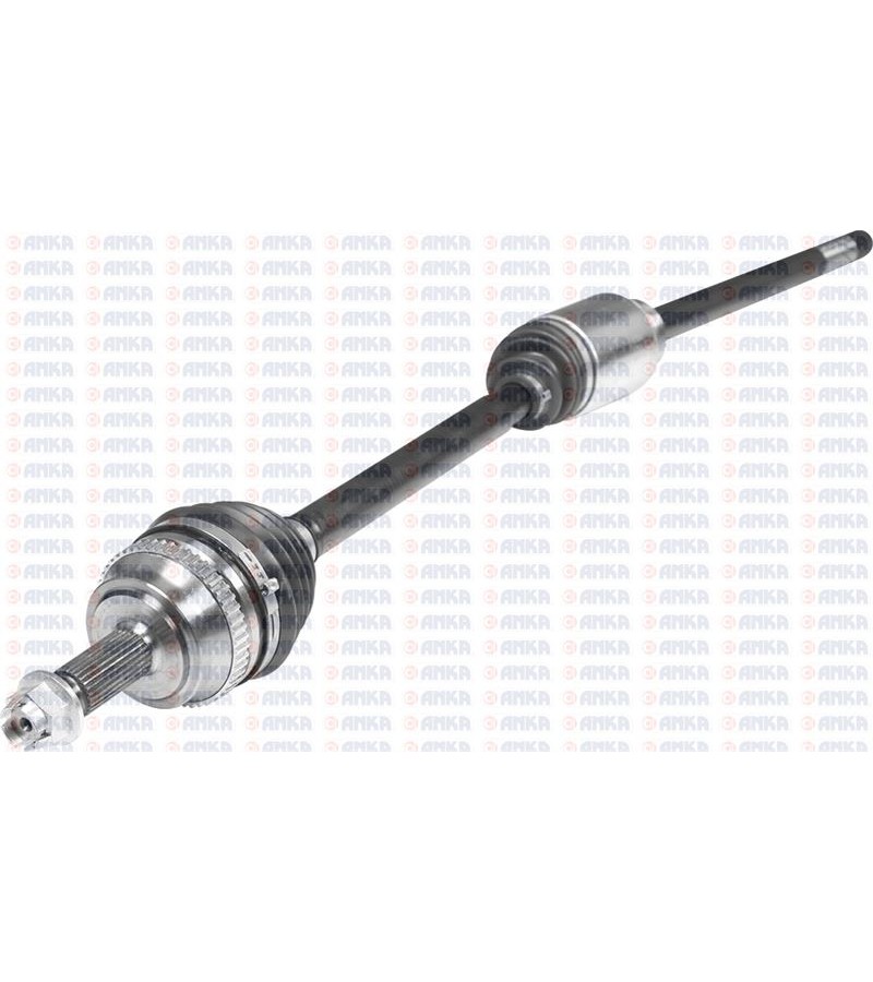ON AKS SAG MASTER II 2.2DCI / 2.5DCI ABSLI 01 10
