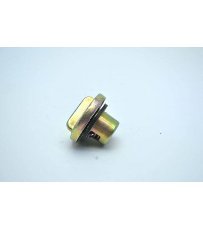 7SU1602-50 SCOOTER DEPO KAPAĞI