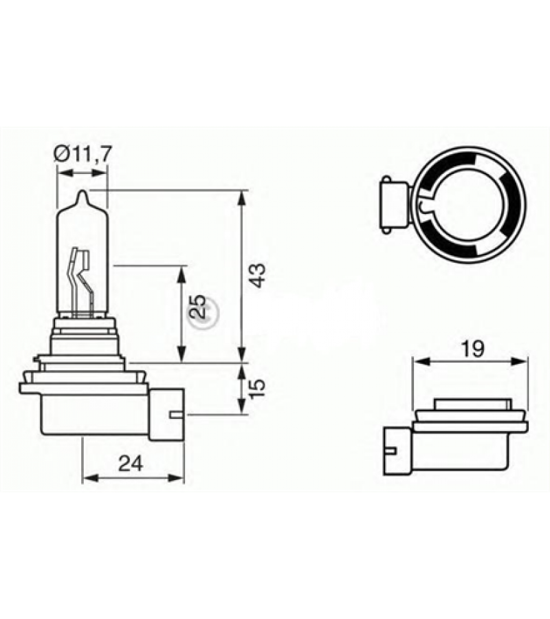 AMPUL ECO 12 V W21W 21 W W3X16D
