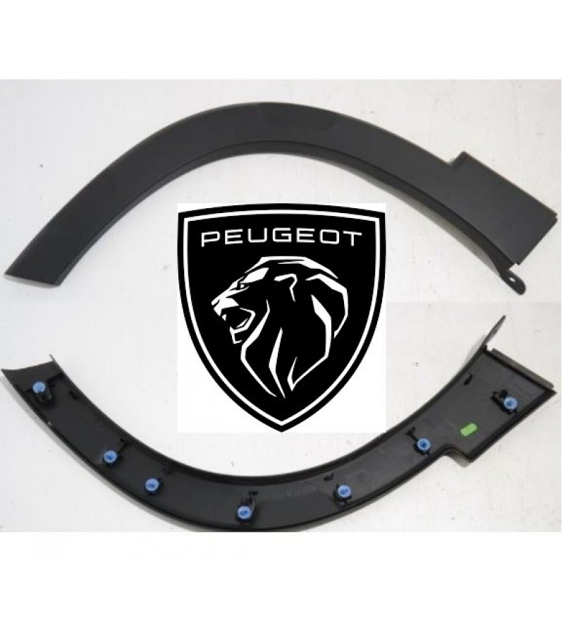 SOL ON CAMURLUK DODIK PEUGEOT RIFTER

